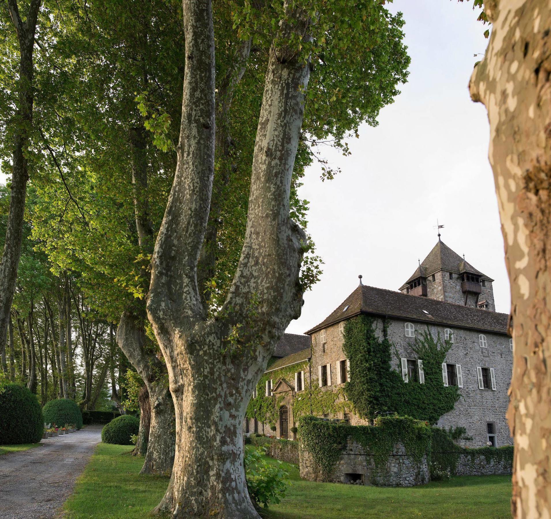 Chateau De Coudree - Les Collectionneurs Sciez Exterior foto